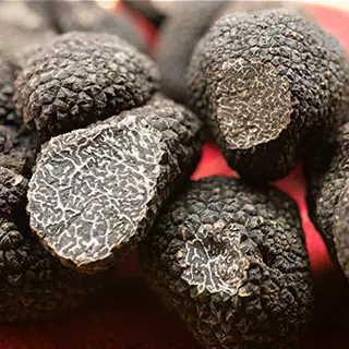 sur une serviette rouge, quelques truffes noires tuber melanosporum dont une est coupée en deux, permettant de voir son veinage