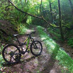 en travers d'un chemin de forêt un vtt de couleur verte est tenu sur sa béquille. Il n'y a pas de cycliste sur la photo.