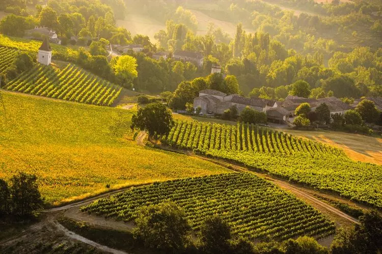 vignoble du gaillacois dans le tarn ; les côteaux sont plantés de vigne, dans le fond un hameau traditionnel et sur le côté un pigeonnier-tour avec toit à 4 pans de forte pente